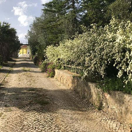 Quinta Dos Canais Setúbal Zewnętrze zdjęcie