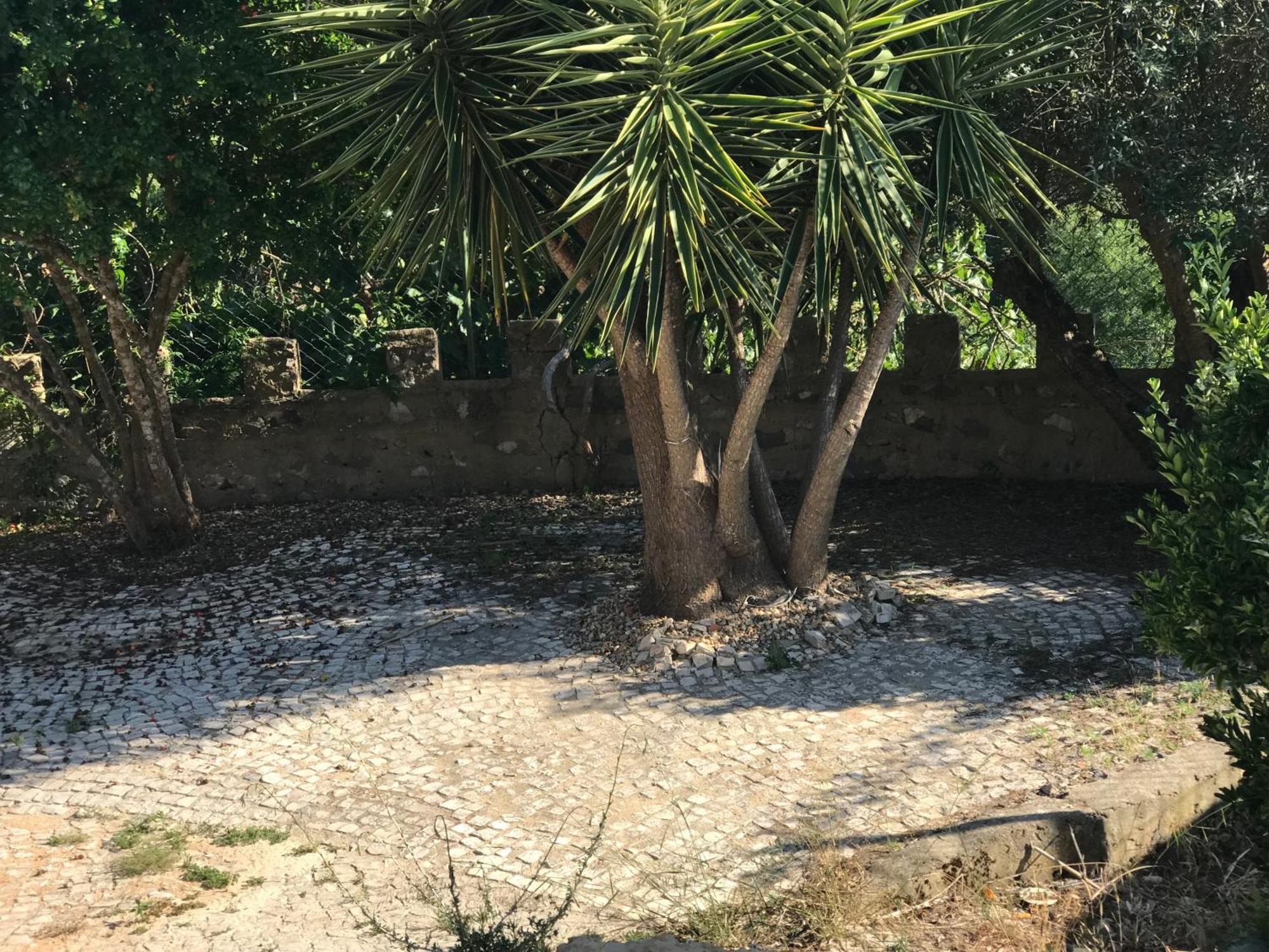 Quinta Dos Canais Setúbal Zewnętrze zdjęcie