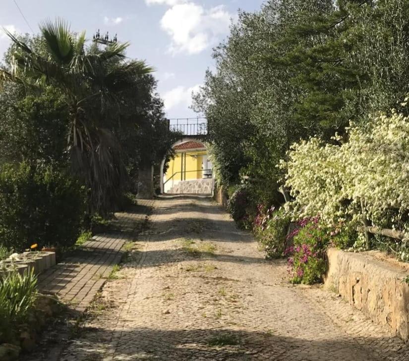 Quinta Dos Canais Setúbal Zewnętrze zdjęcie