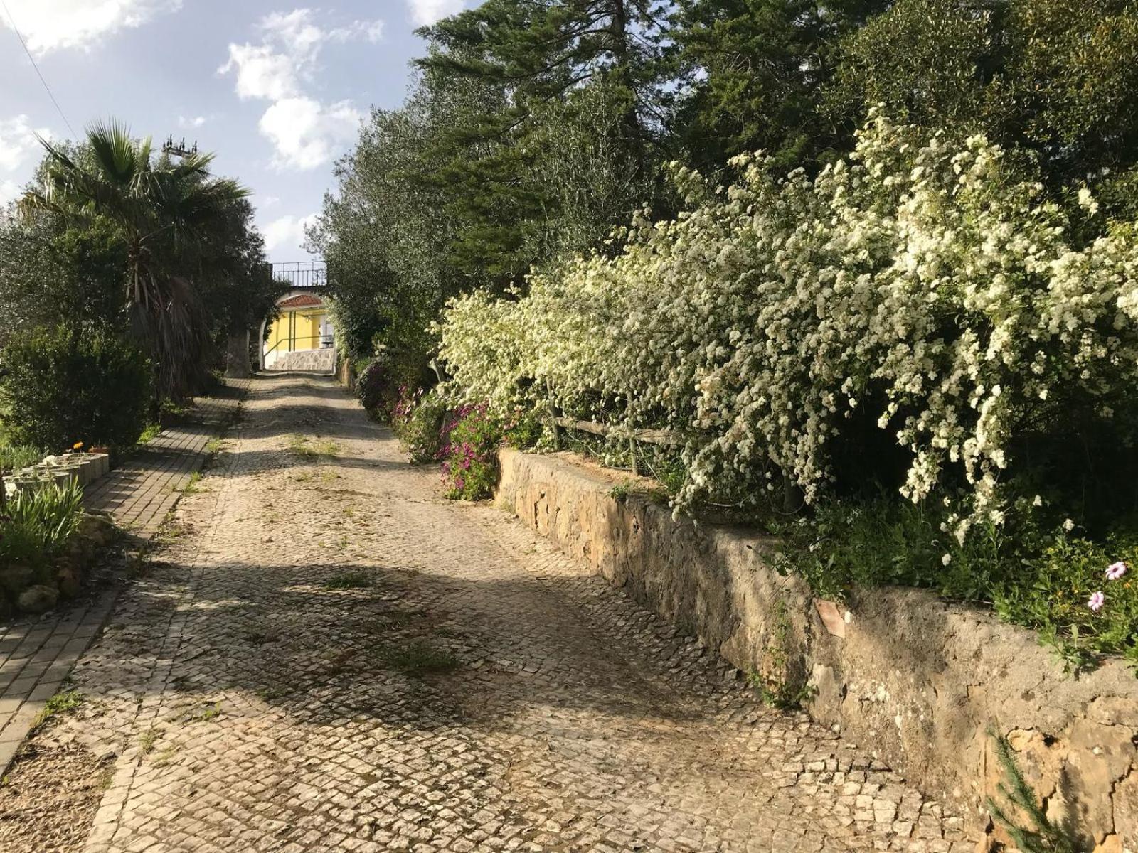 Quinta Dos Canais Setúbal Zewnętrze zdjęcie
