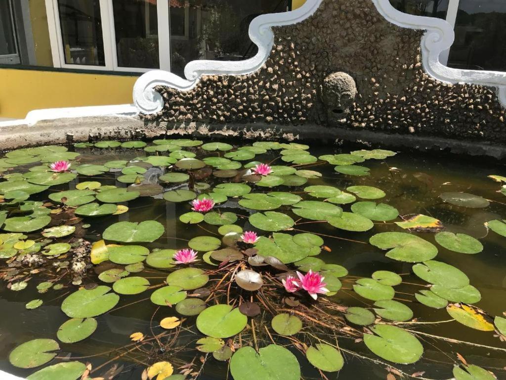 Quinta Dos Canais Setúbal Zewnętrze zdjęcie