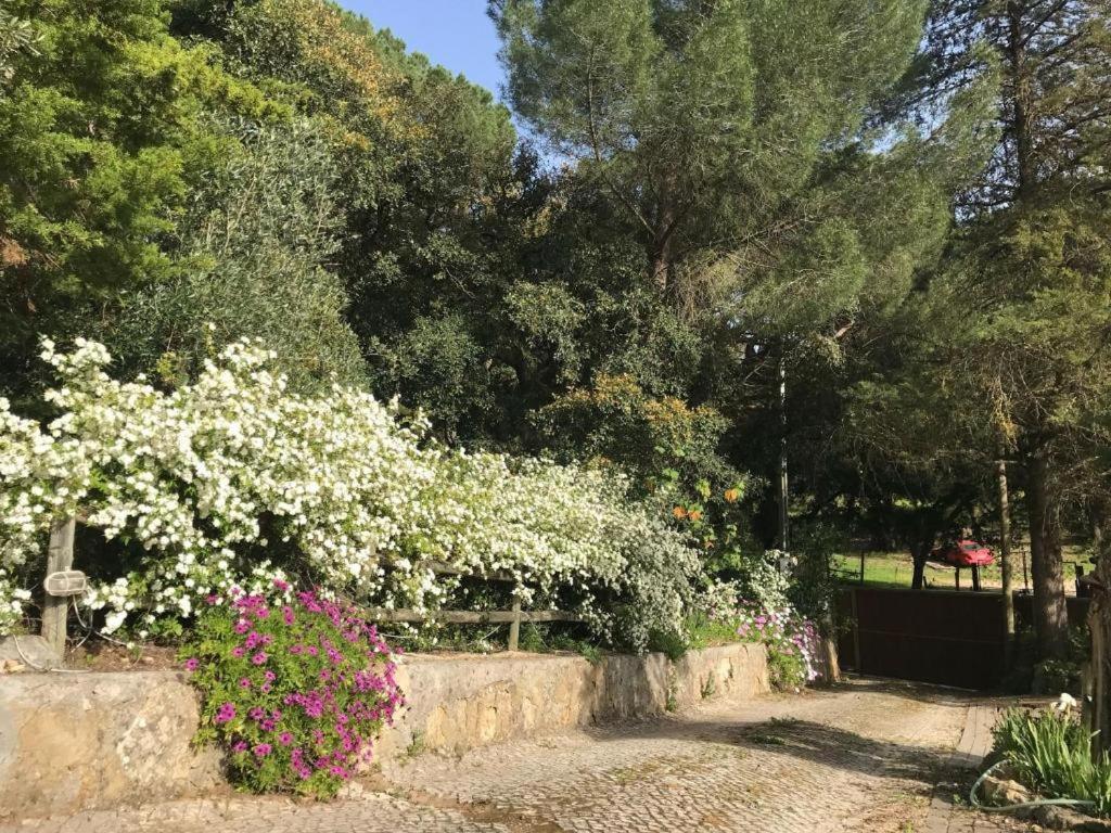 Quinta Dos Canais Setúbal Zewnętrze zdjęcie