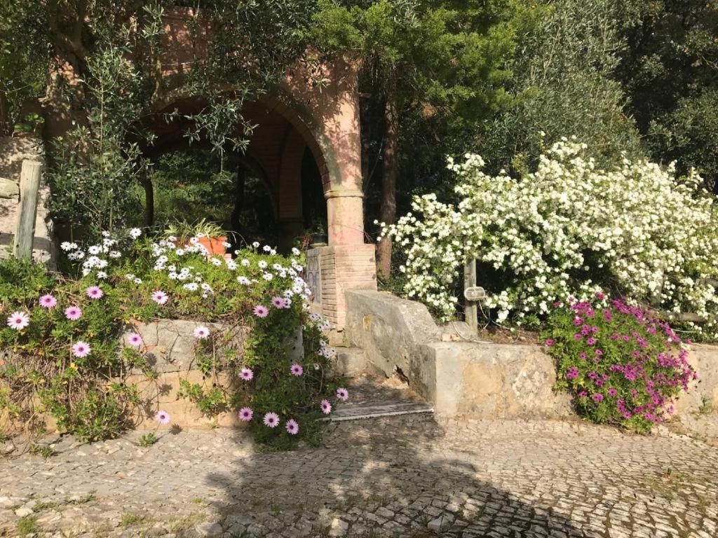 Quinta Dos Canais Setúbal Zewnętrze zdjęcie